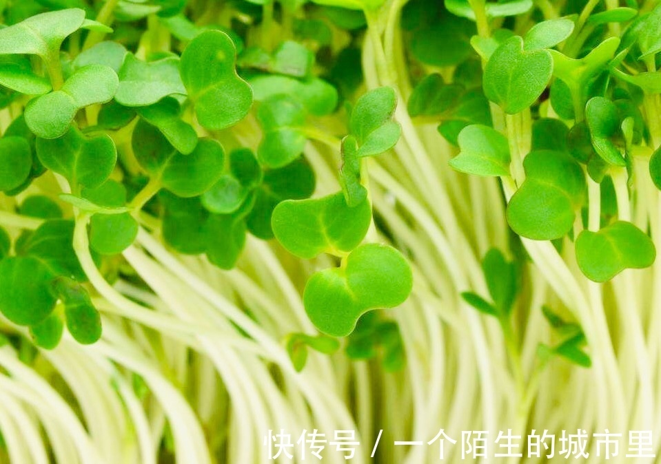 卵巢癌|女性不想得卵巢癌，每天食此菜，防乳腺癌，让女性身体越来越健康