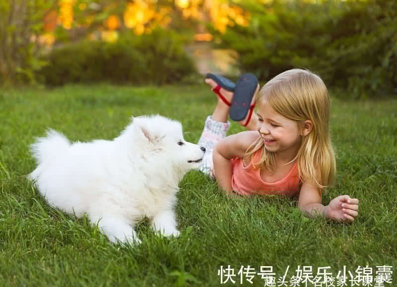 快乐教育|有3件事，父母是一定要教会孩子的，无论什么时候都很重要！