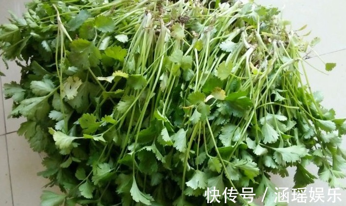 烟酸|香菜有什么营养价值它的五大营养价值要比一般蔬菜强，了解一下