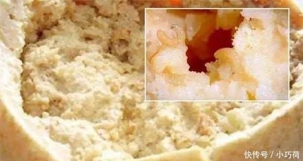 忽然|假如10万块让你吃掉下面3种食物,网友忽然觉得钱一点也不重要