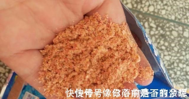 鲤鱼|三伏天垂钓，九一八鱼饵这样配才叫真的好，大鲫鱼大鲤鱼挤满钓点！