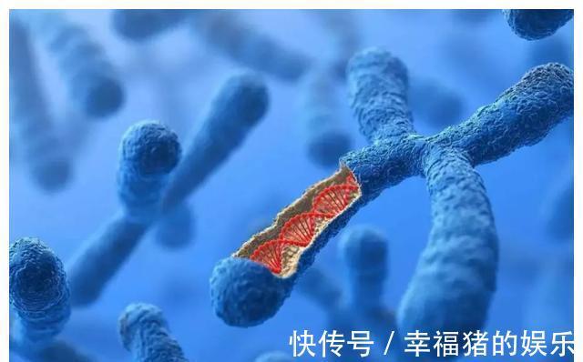 中西医|孩子长得矮、长得慢,是用西医促长、还是中医干预?家长不要纠结