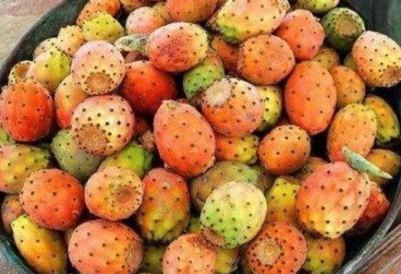 营养|女性不想老太快,可以多吃3种食物,营养丰富,滋润身体!