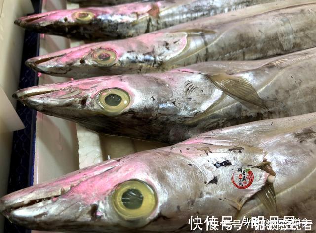 摊主|买带鱼时,记住4买3不买,摊主不敢忽悠你,好带鱼一挑一个准