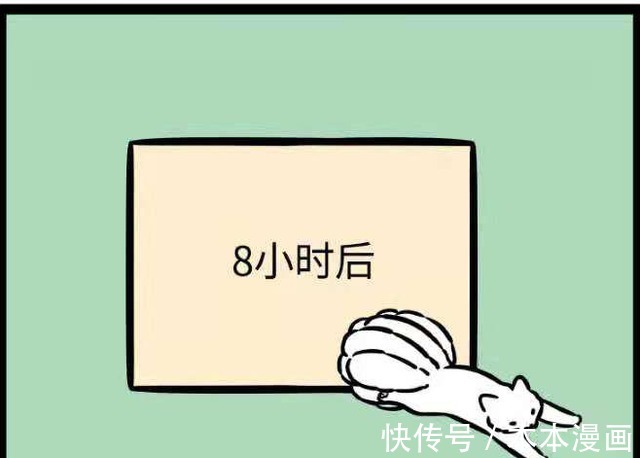 可莉|非人哉：九月费尽心力收拾东西，刚完成就遭遇重大危机！