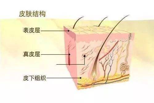 吸收感 护肤品吸收感好就=被脸吸收了吗？你用的护肤品到底吸收了没？