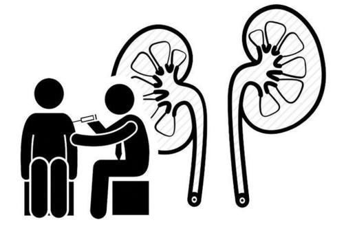 泡沫|尿液是疾病的“报警器”,如果出现4种迹象,尽快去医院检查一下