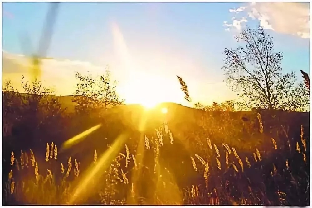 世一堂糖肽：人间最美，是清秋