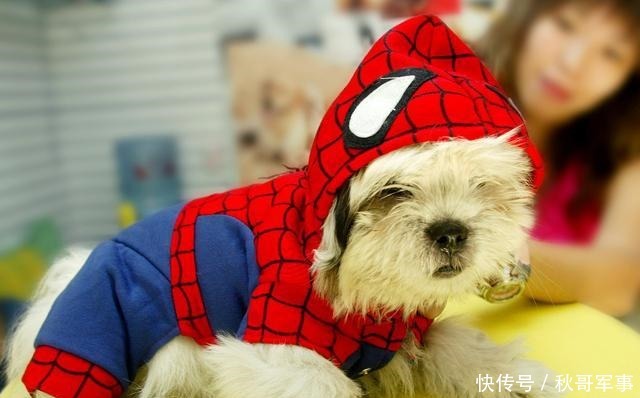 张天师|《水浒传》里表面上是洪太尉放走妖魔,实则张天师难辞其咎