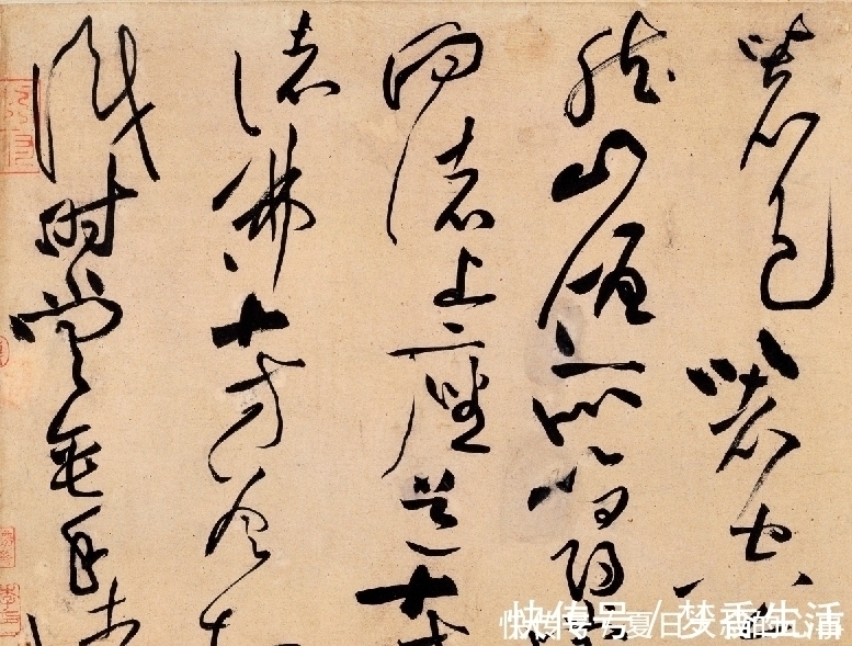 沈周@他独创“荡桨笔法”,字法奇宕,龙搏虎跃,又一个“草圣”级人物