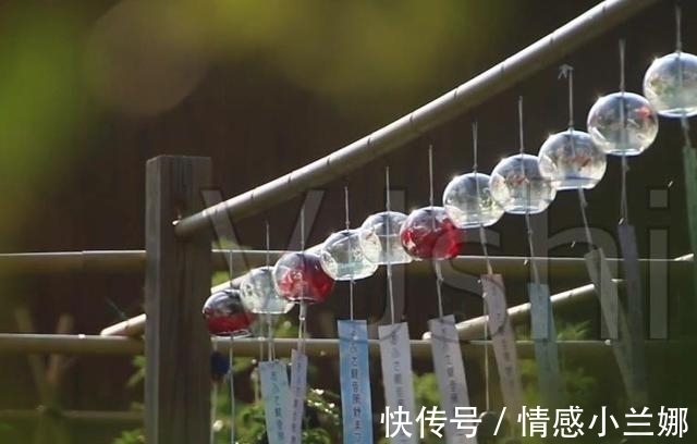 杀人$爷爷说：为人处世，这四件事是“杀人不见血的刀”，要放下