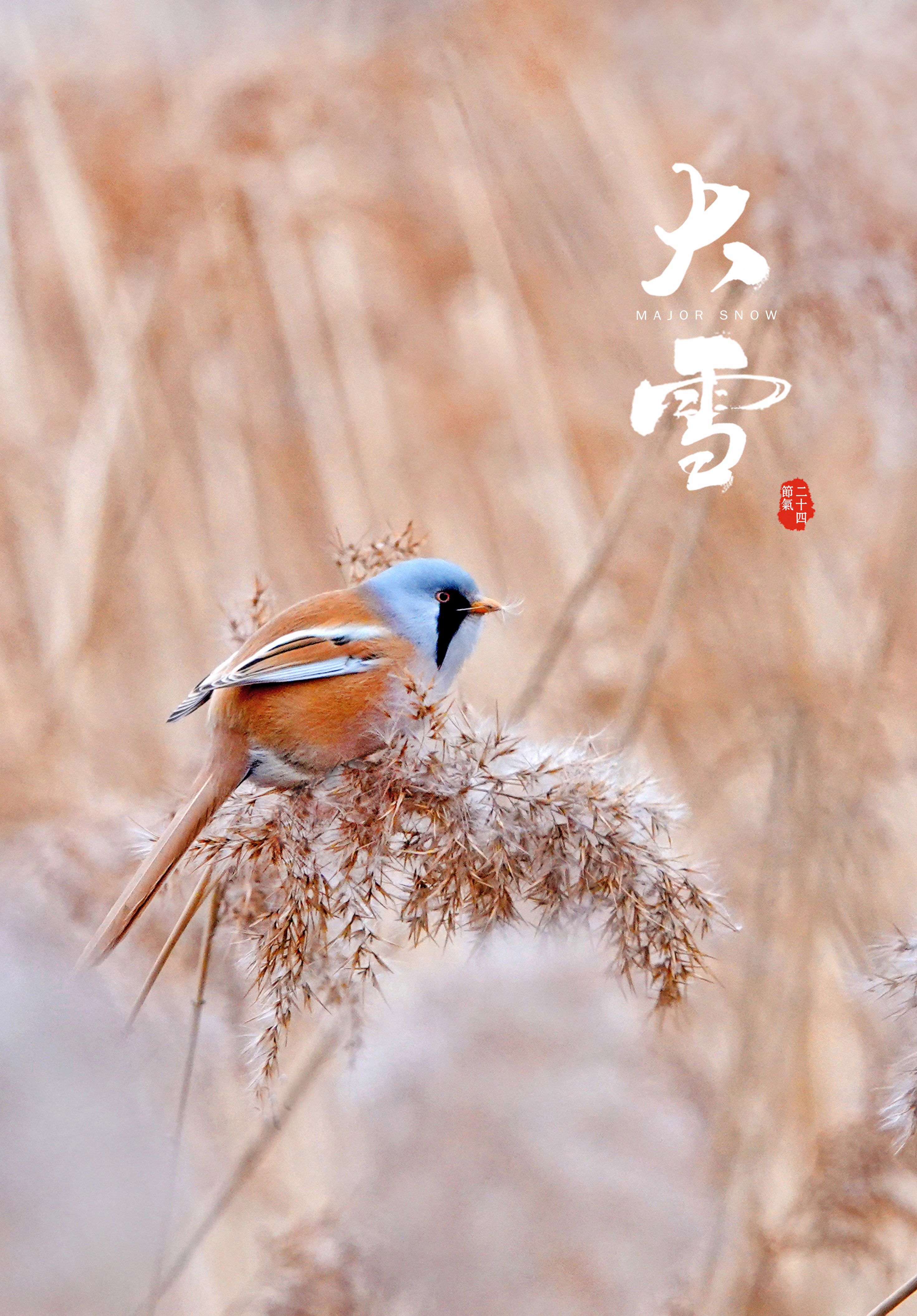 月令七十二候集解&报节气|冰与雪之歌