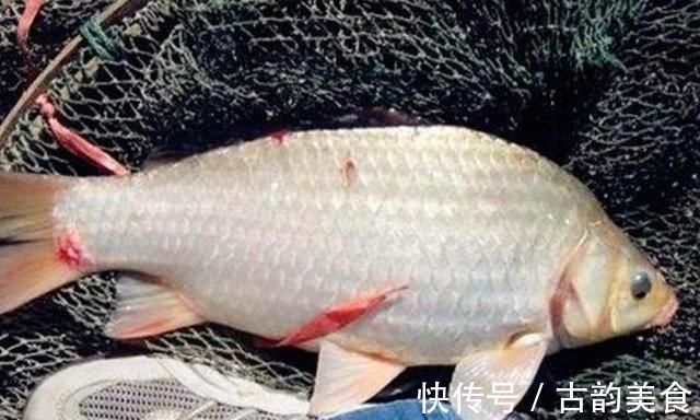 冬钓无口就收竿,难道你没用这3个策略?老钓手:一般人学不来