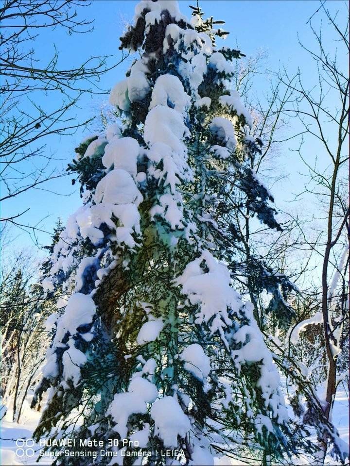 中国农业发展银行$青未了｜戏雪（七言诗）