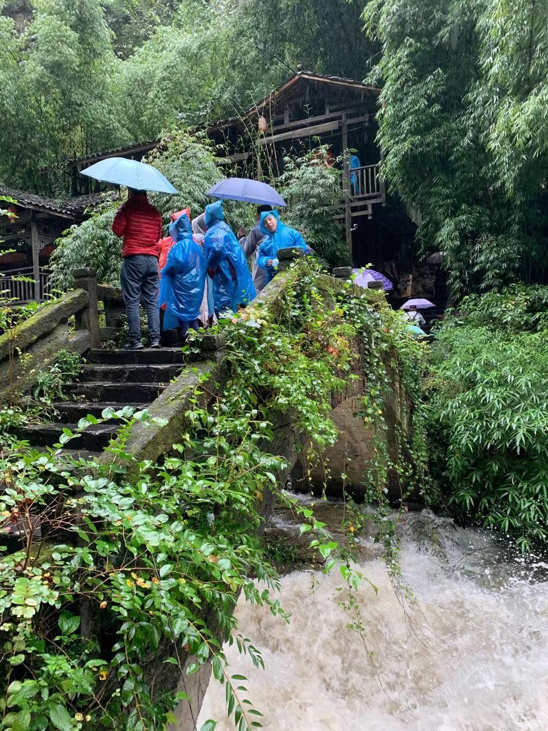 沃沃雨中伴我游（一）