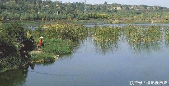 夏钓时,我只在这“钓点”下竿,不吹不黑,钓到天黑也不想走!