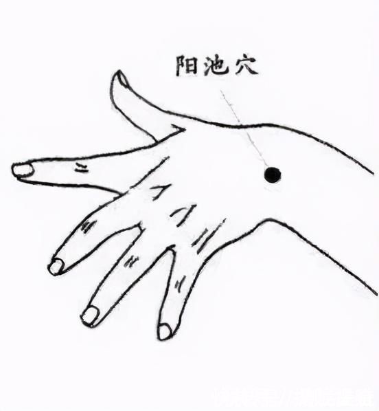 血液循环|健康一招灵｜寒潮来势汹汹，这套暖身方法请收好