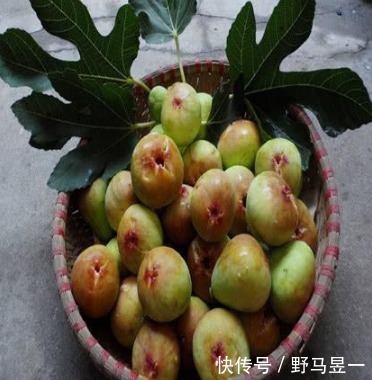 糖尿病患者|糖尿病人的''保护者''，老中医提醒3物多吃不愁，有效降低血糖