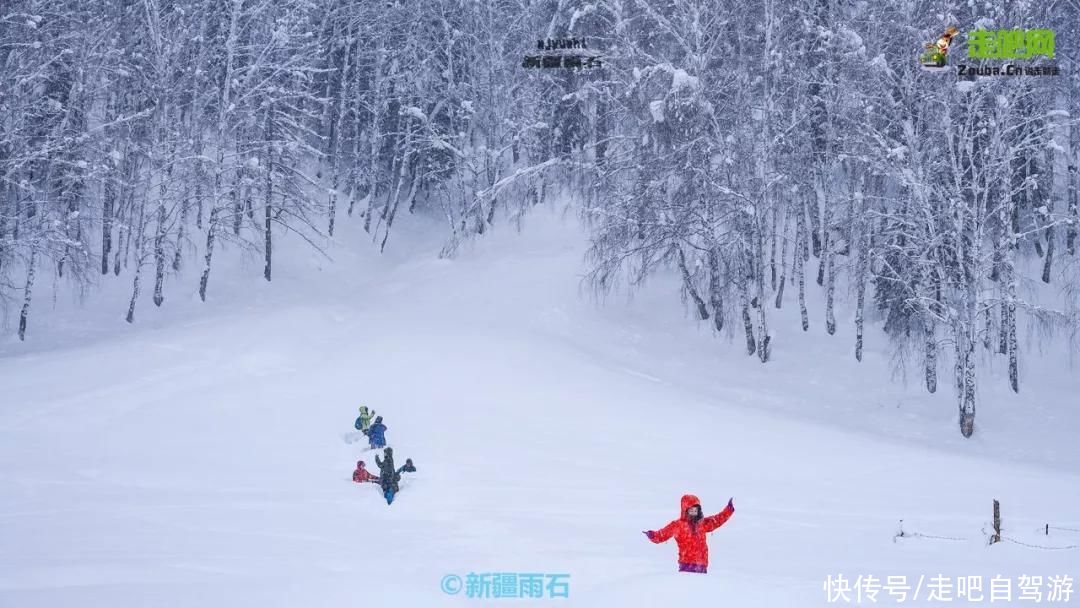 喀纳斯|冬日净土，非喀纳斯莫属