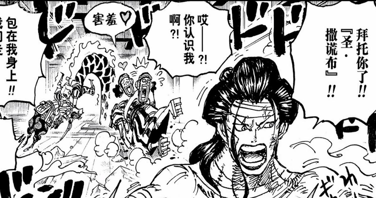 CP0|海贼王:CP0持续追捕罗宾,巨大化的Big mom可能迎来败北