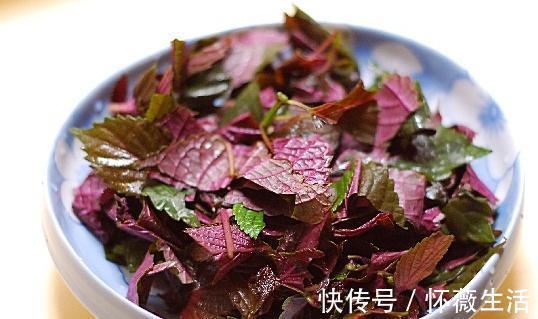 氨基酸|1叶子了不得！全身是宝！护肝脏、降血脂、降压、预防血栓和癌变