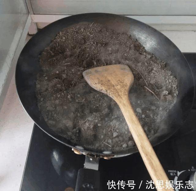 土壤|花盆里长虫子土壤“消消毒”才关键,教你3招,养啥都放心