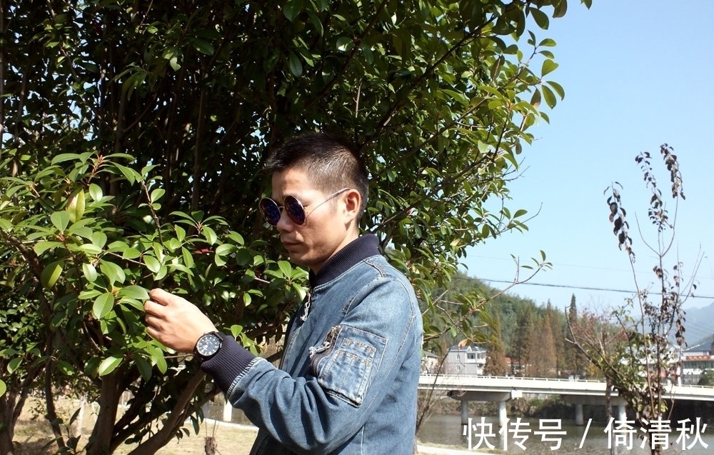 西铁城 日本手表怎么样?精工、东方双狮、西铁城手表真人试用测评