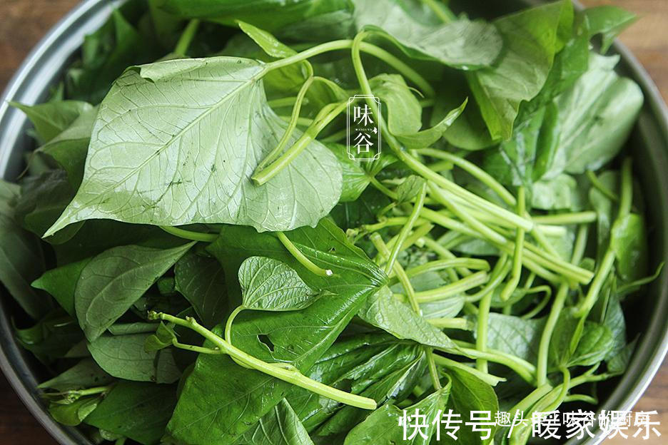 遇到此菜我必买，2块钱一把，从春天吃到秋天，营养高味道香