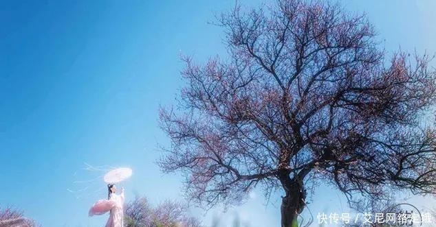 婚姻中隐藏的最大真相,看完清醒了