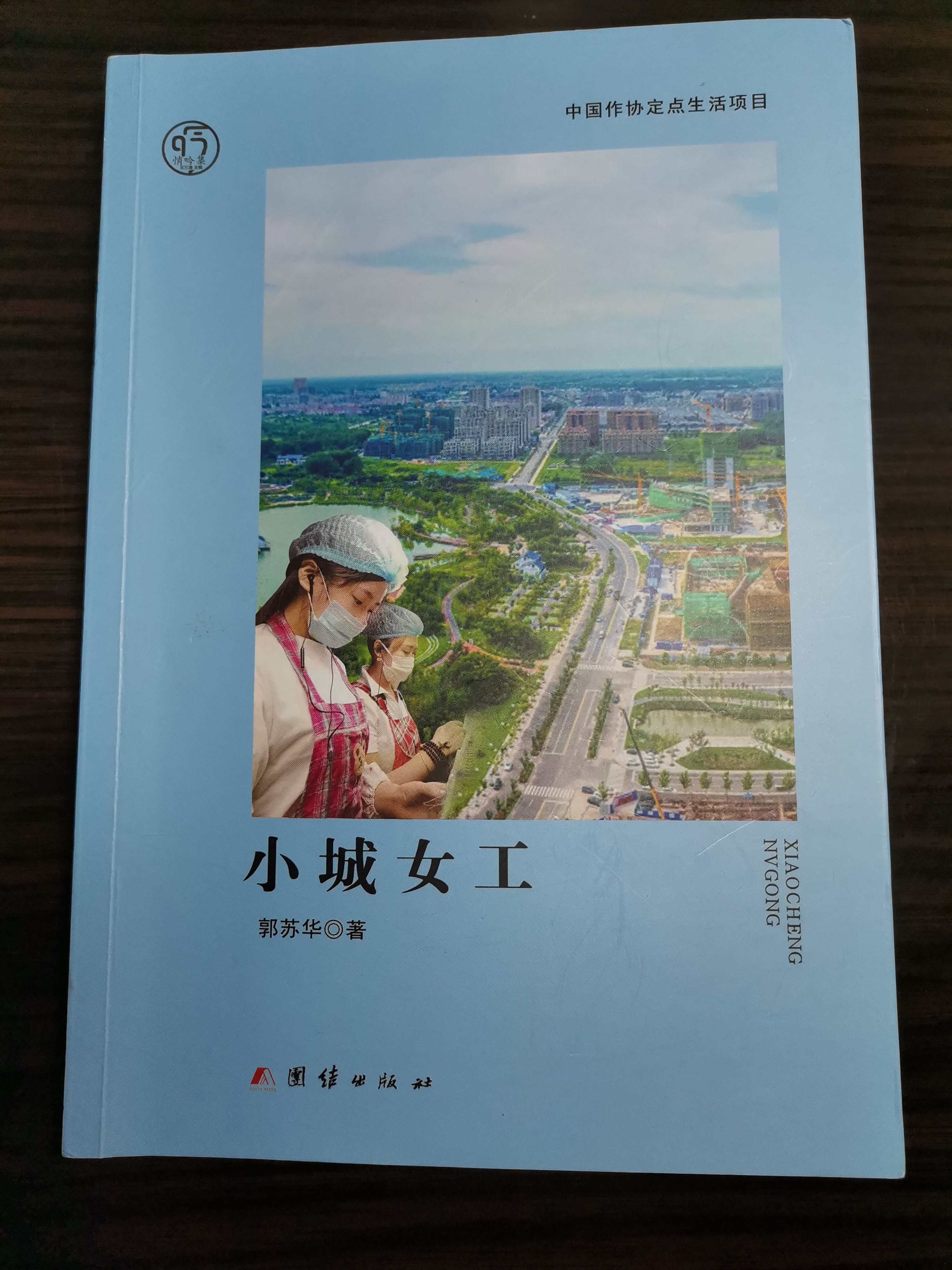 生存&郭苏华新作《小城女工》读后感：用兰心写蕙质，用热情写热土