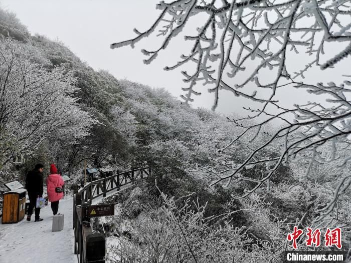 遗产地|世界自然遗产地梵净山迎入冬初雪宛如仙境