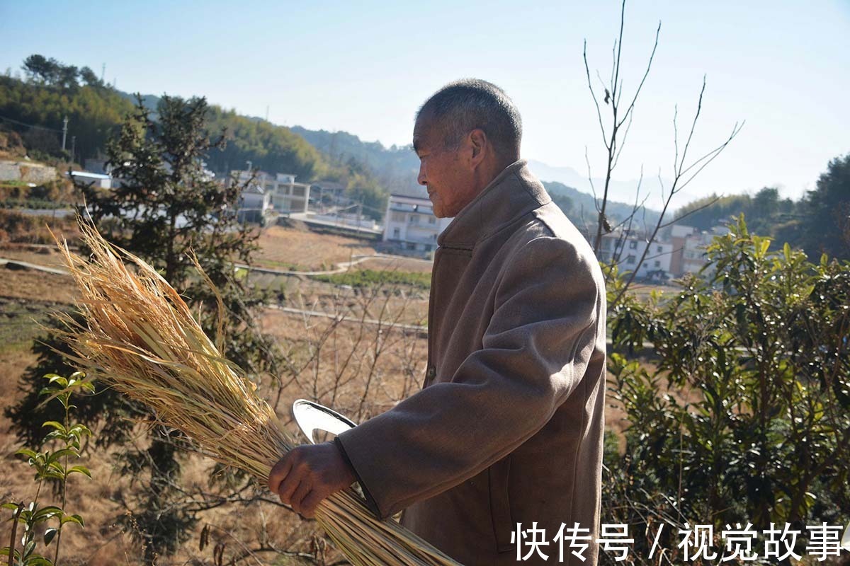 糯稻|80岁大爷住山村，种菜砍柴样样活都干，村民称会“享福”