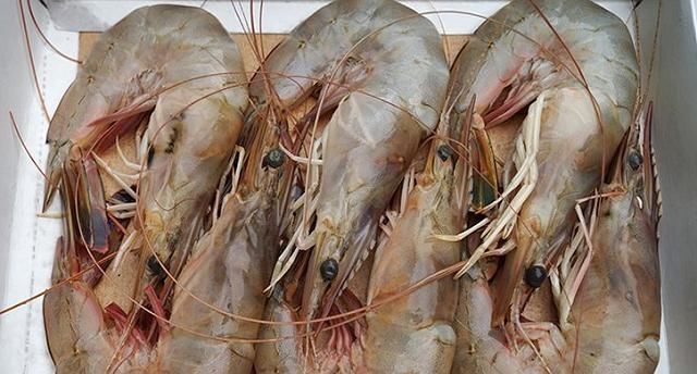 买虾时,不管价格高低,看到这4种都不能要,健康第一,别买错