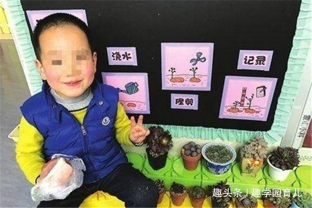 幼儿园老师让准备一次性桌布，一位爸爸准备的桌布火了