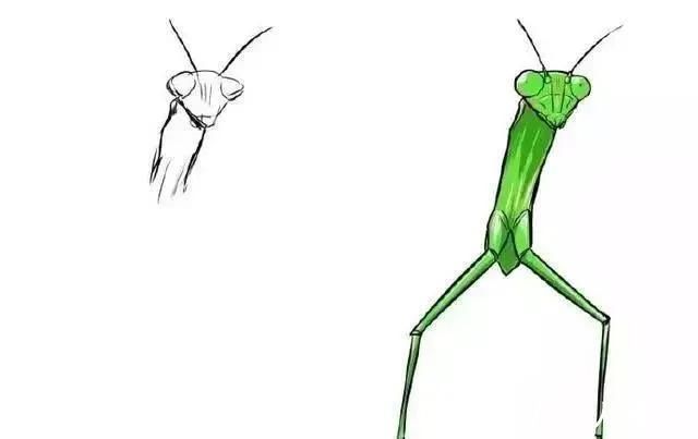 美术生&美术生考试最后五分钟的灵魂画手,看完笑的停不下来