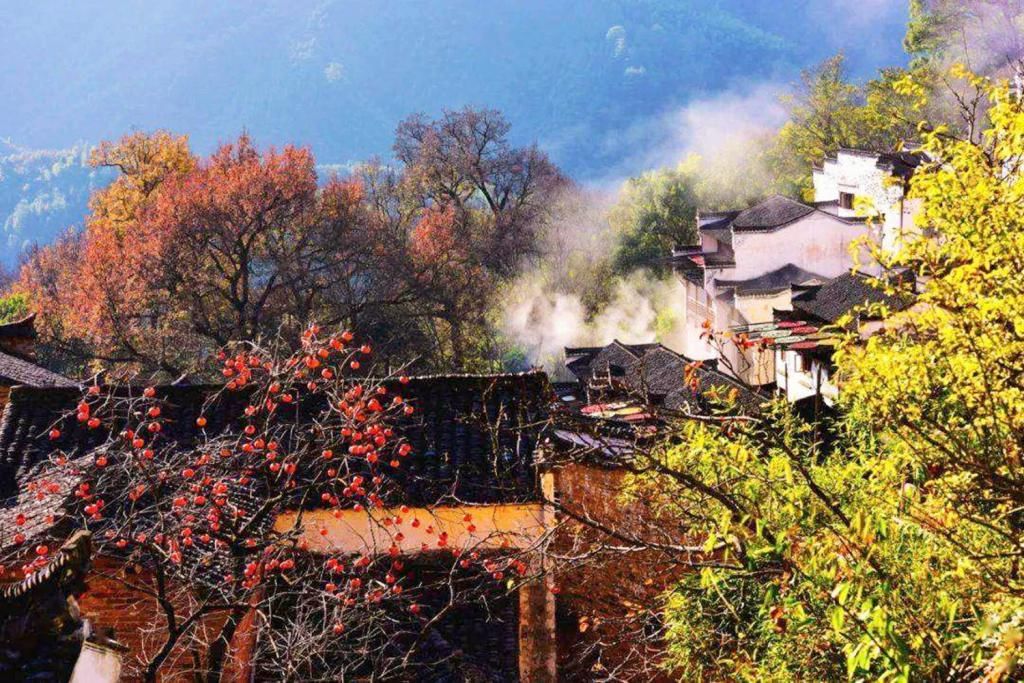  大山|皖南一处不知名的赏秋胜地，隐藏于大山之中，还可体验自驾快感