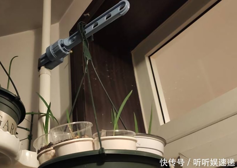 阳台很小,养不了太多花?巧用6个小方法,多养3倍还不止