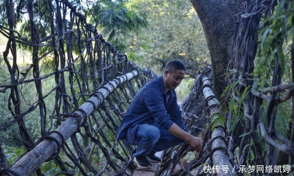 太极图|【云龙文化】云龙沘江:我是天然太极图的创作者