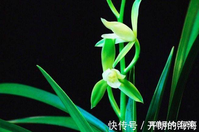 春兰秋桂$《唐诗三百首》的第一首诗, 你知道是哪一首吗