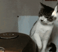 |搞笑gif:哥们犯啥滔天大罪了,被你老婆带出来游街示众!