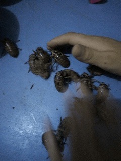 |搞笑GIF:原来我们讨厌的不是广场舞 而是那些大妈