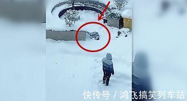 儿子|让爸爸带儿子去看雪,透过窗户看到如此画面,妈妈捂头:亲爹