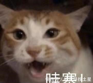 t新綜藝、老綜藝“打架”拒絕emo就看TA們了！