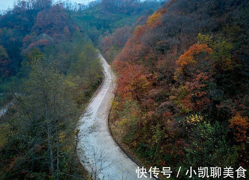 彩林|平武有座山红透了！山上这条云端上的彩林公路秋色如画