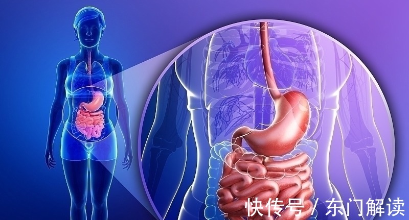 食物|慢性胃炎的“死对头”已公布,这3种食物常吃,或能远离胃胀痛