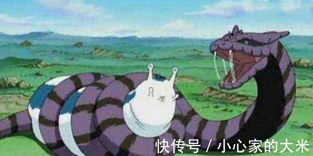 万蛇|火影忍者:青蛇和万蛇,两者有什么关系?