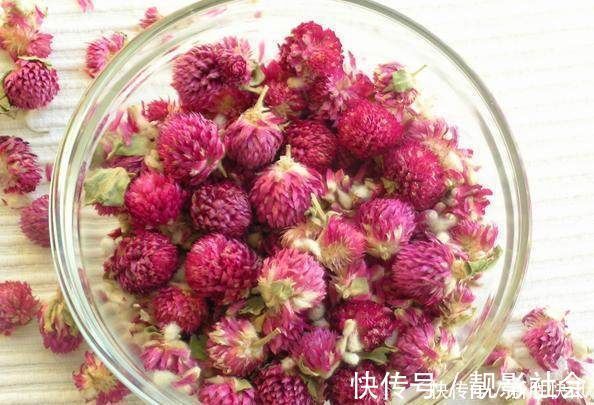 火球花|一种能常开不败的花卉盆栽,象征着永恒的爱,还能泡茶,受人喜爱