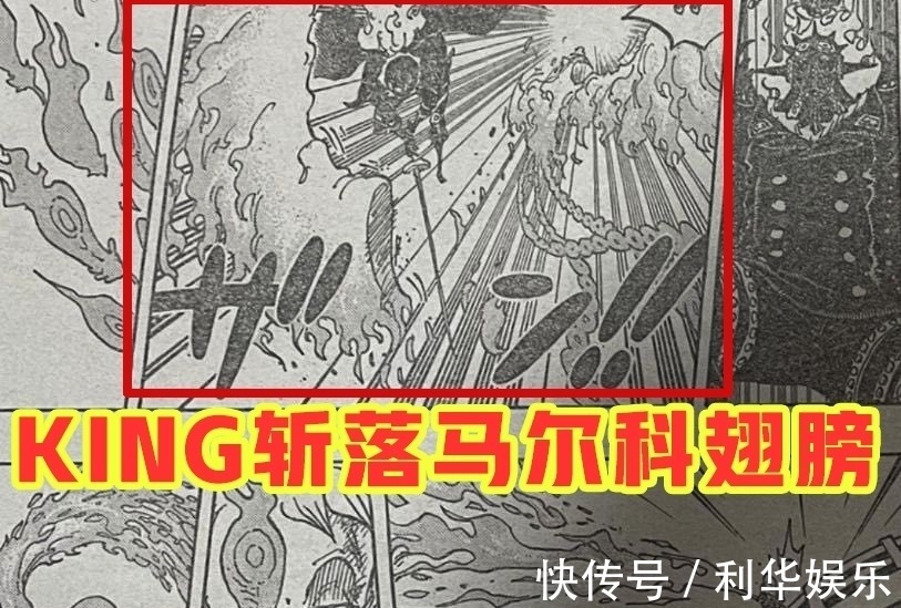 海贼王|海贼王1006话：小马哥被烬斩落翅膀，豹五郎释放“生命归还”
