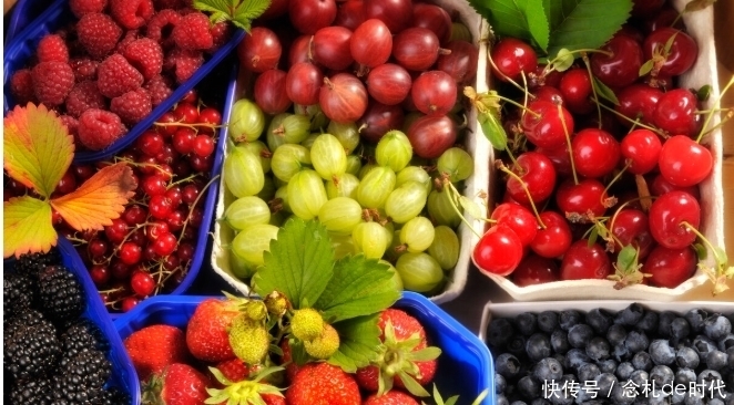 微量元素的补充对于身体健康很重要!5个自然补充方法,请知晓