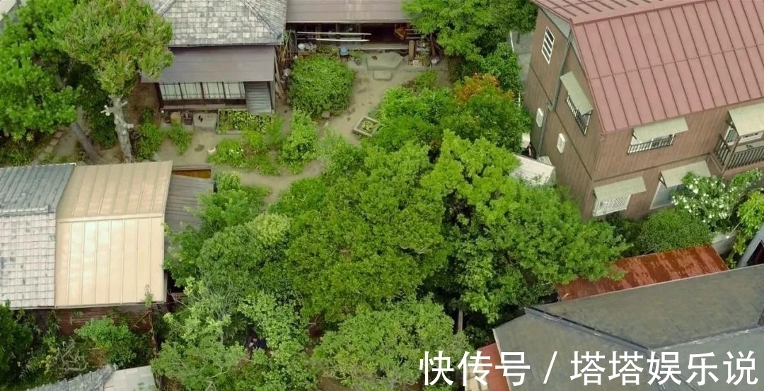 老顽童#他94岁,已经30年没出门了,种花养鸟,一副画卖上百万元